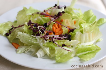 Ensalada con brotes germinados de rabanitos