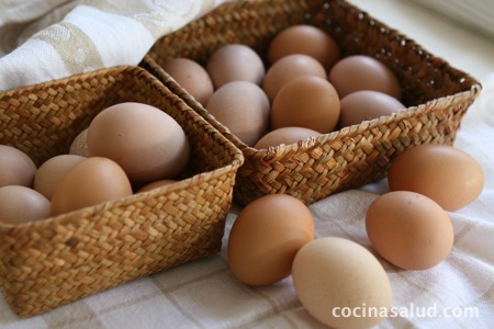 huevos frescos ecológicos